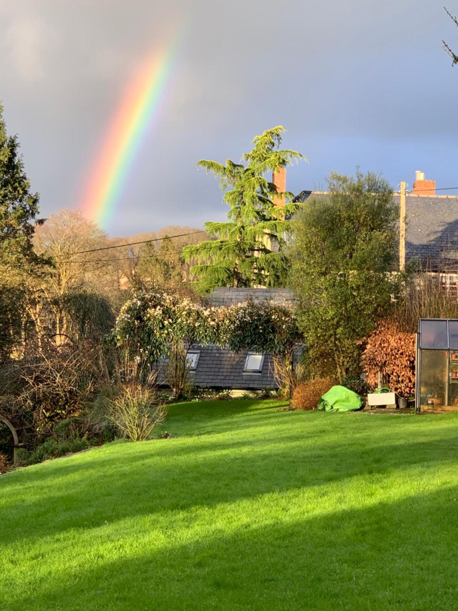 Maristow Cottages, Overlook Tamar Valley Dartmoor Plymouth Exteriér fotografie