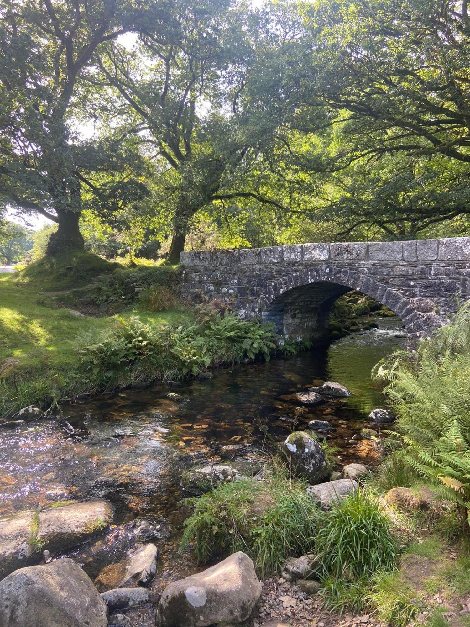 Maristow Cottages, Overlook Tamar Valley Dartmoor Plymouth Exteriér fotografie