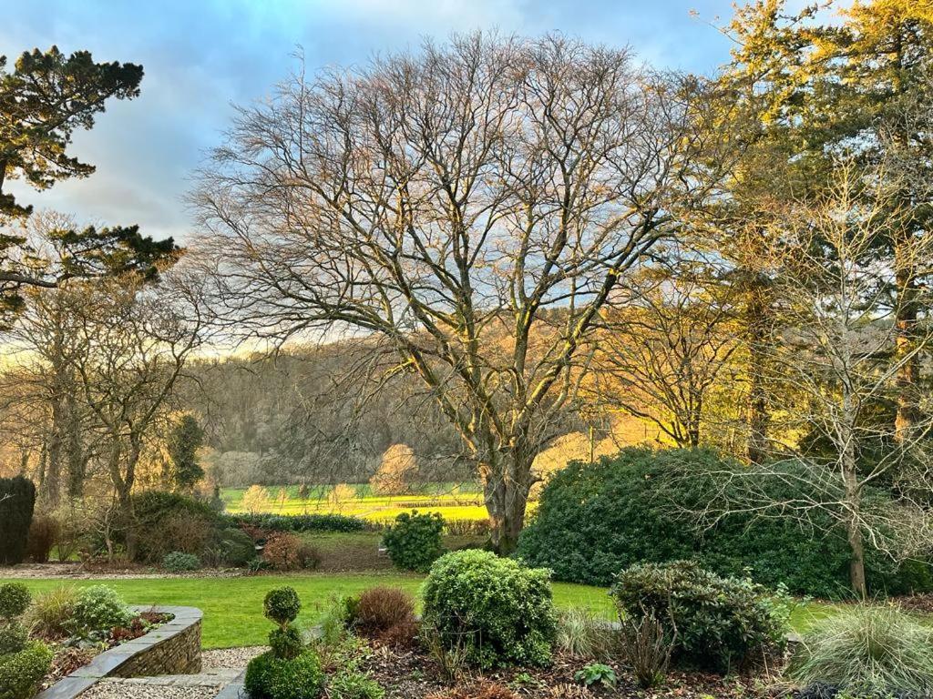 Maristow Cottages, Overlook Tamar Valley Dartmoor Plymouth Exteriér fotografie