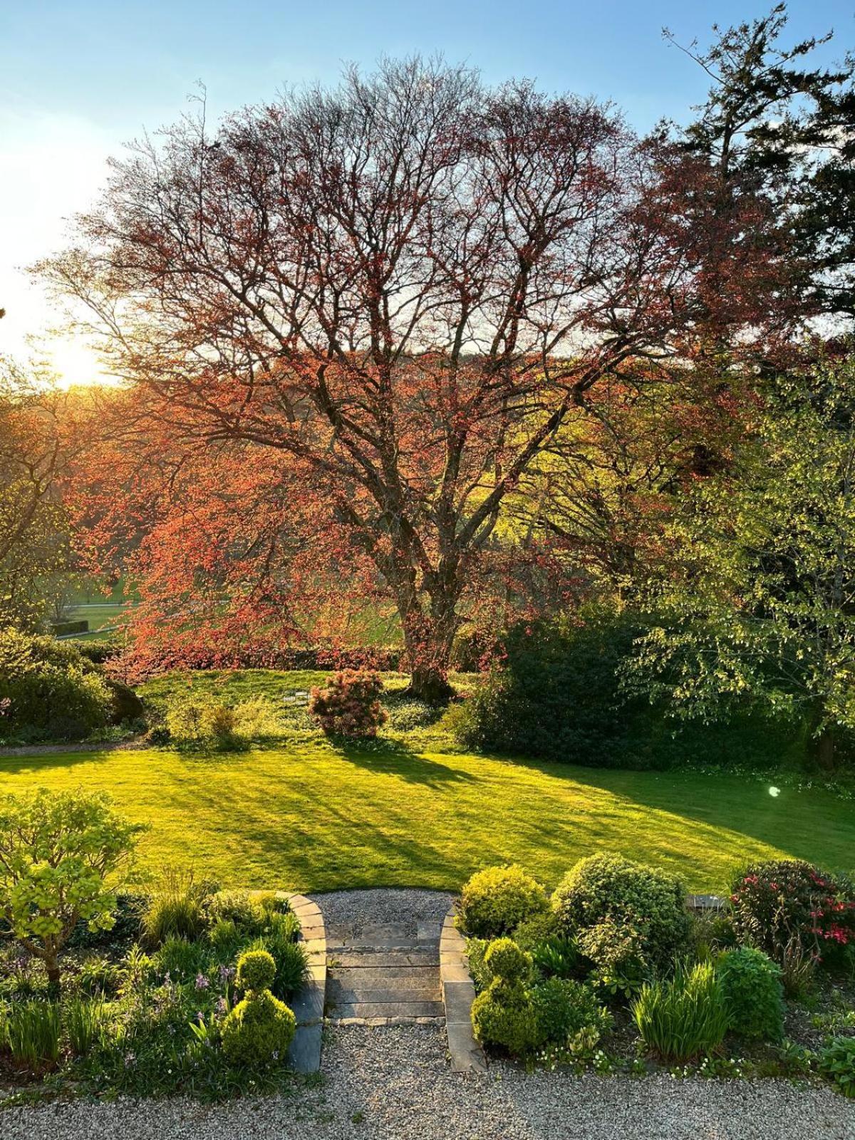 Maristow Cottages, Overlook Tamar Valley Dartmoor Plymouth Exteriér fotografie