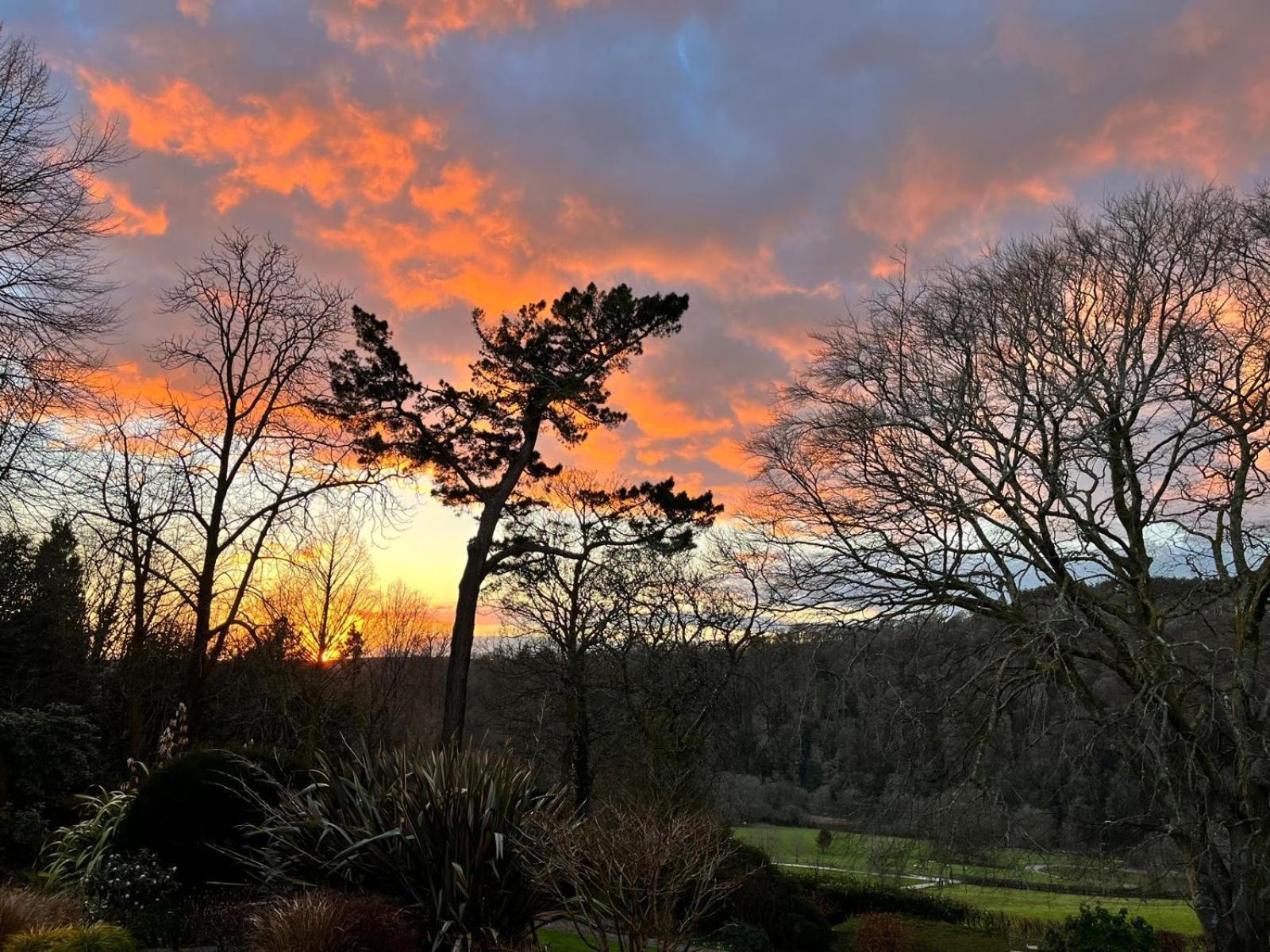 Maristow Cottages, Overlook Tamar Valley Dartmoor Plymouth Exteriér fotografie